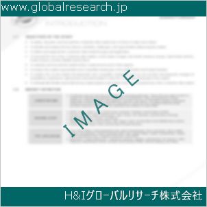 グローバルリサーチ調査資料のイメージ